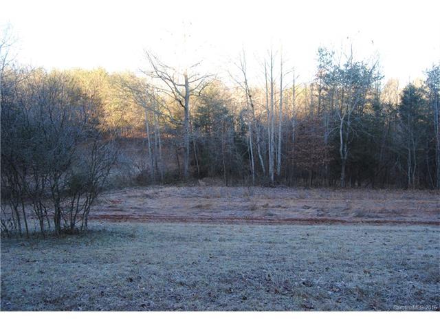 00 Island Ford Road - Photo 1