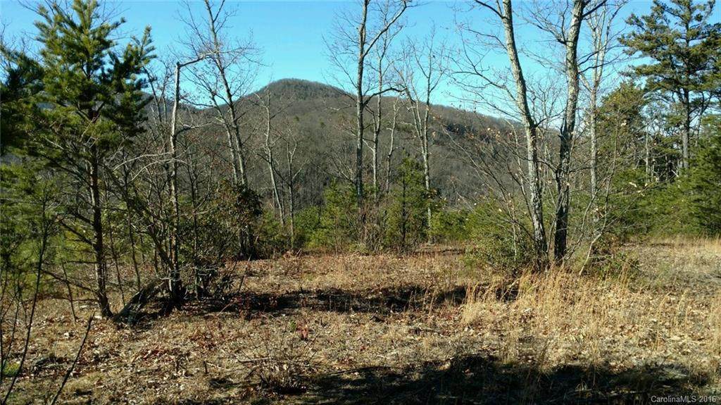 170 Lure View Lane - Photo 1