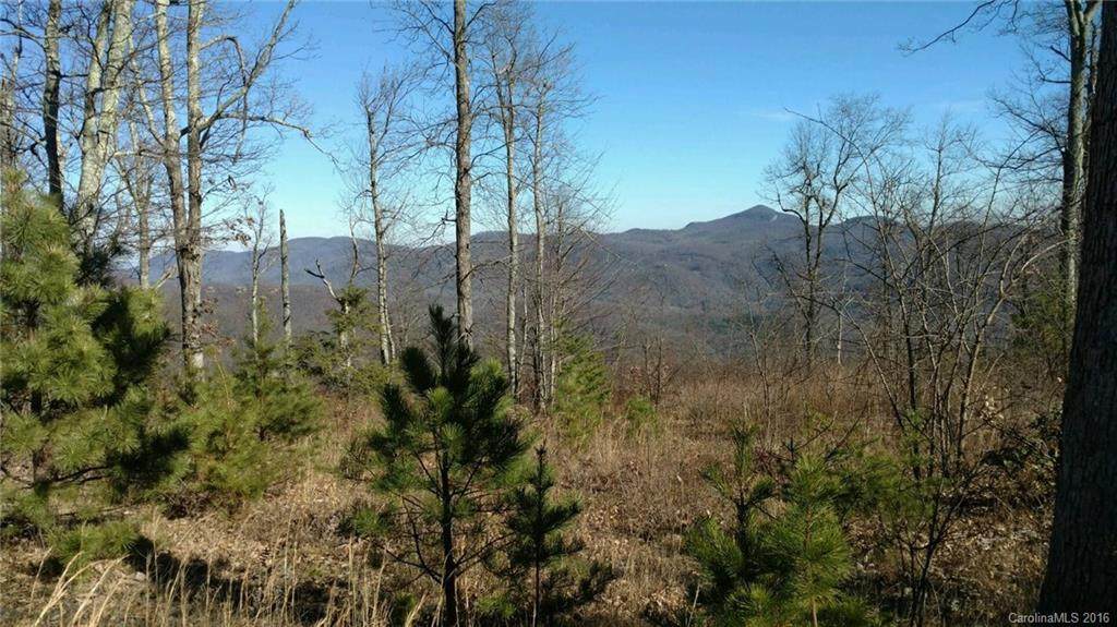 170 Lure View Lane - Photo 1