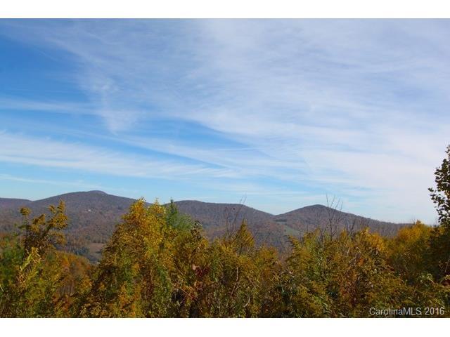 TBD Woodland Springs Lane - Photo 1
