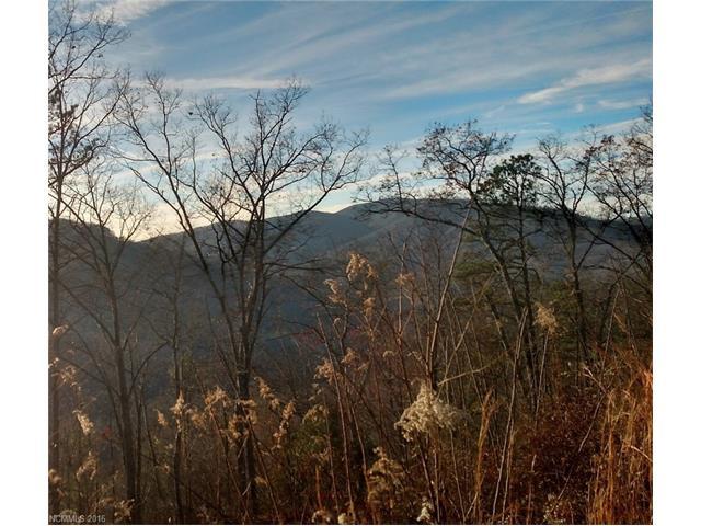 Lot 119 Bear River Lodge Trail - Photo 1