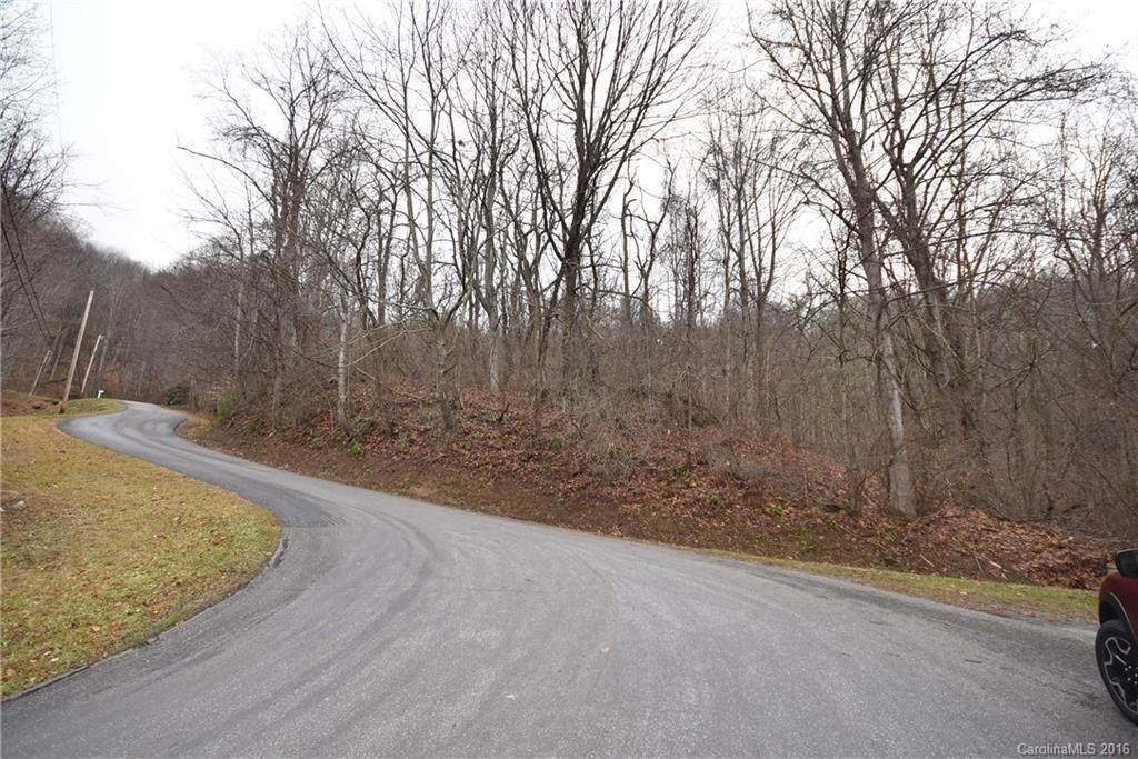 Lot C-1 Utah Mountain Road - Photo 1