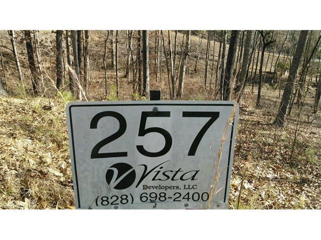 Lot 257 Bills Mountain Trail - Photo 1