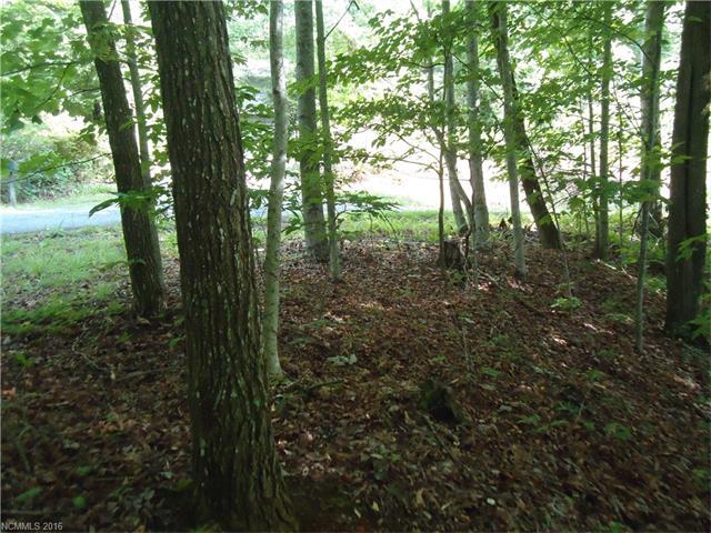 111 Ladd Ridge - Photo 1