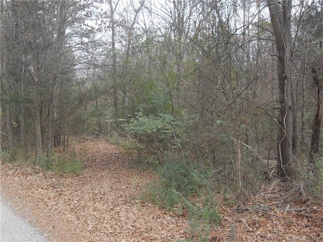 00 Eagle Heart Lane - Photo 1