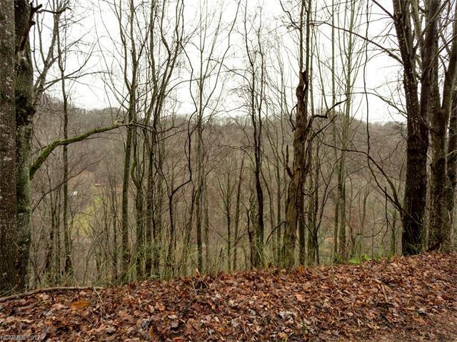 0000 Alvins Fox Trail - Photo 1
