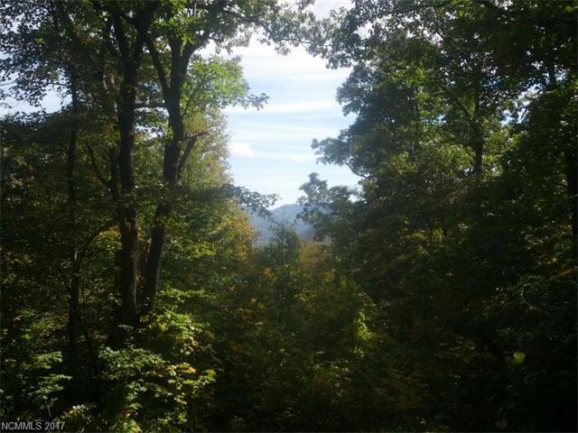 Lot C-6 57 Trillium Lane - Photo 1