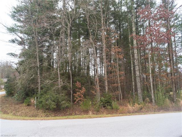 Lot # 19 Tall Timbers Trail - Photo 1