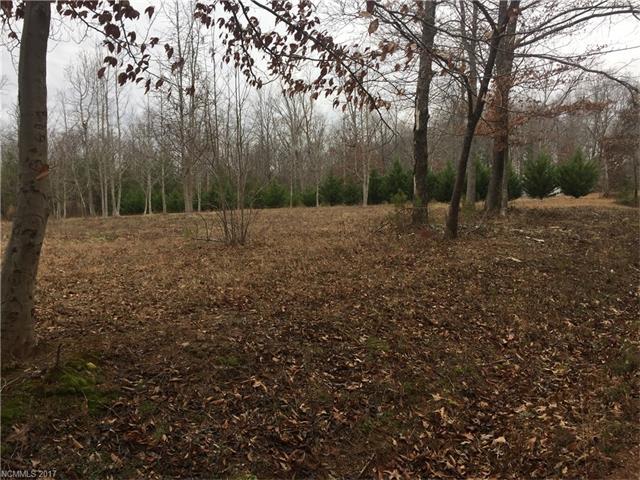 0 Red Fox Circle - Photo 1