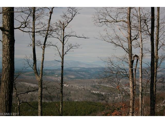 Lot 102 Arbra Mountain Way - Photo 1