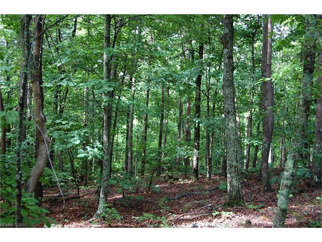 Lot 3C Tanglewood Trail - Photo 1