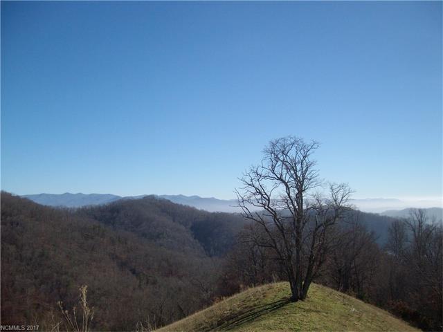 00 Flynn Branch Road - Photo 1