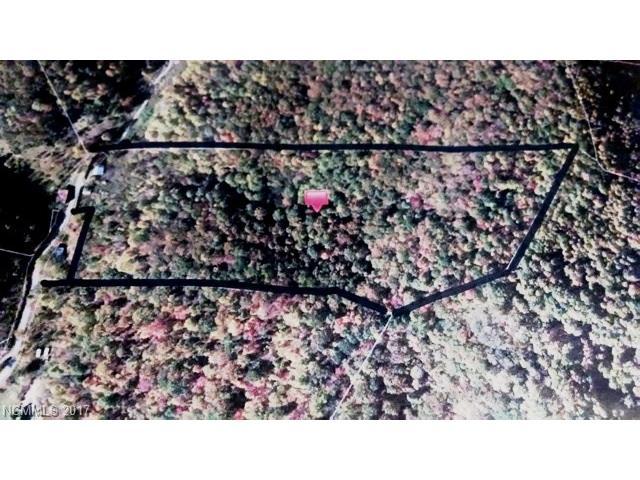 00 Flynn Branch Road - Photo 1