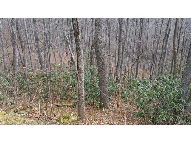55 Great Aspen Way - Photo 1