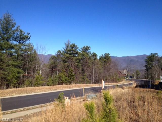 9 Panther Gap Road - Photo 1