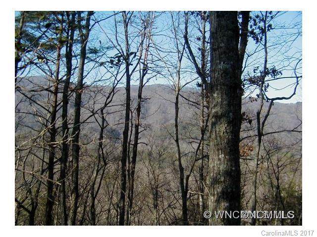 Lot 67 Treetops Lane - Photo 1