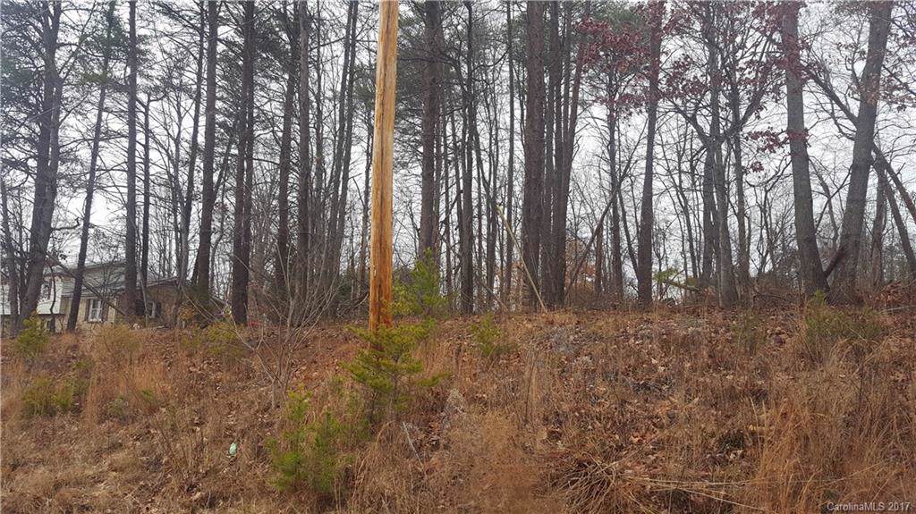 0 Freedom Mill Road - Photo 1