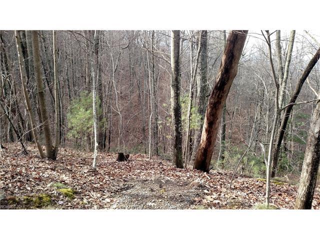 9999 OFF Mountain Page Road - Photo 1