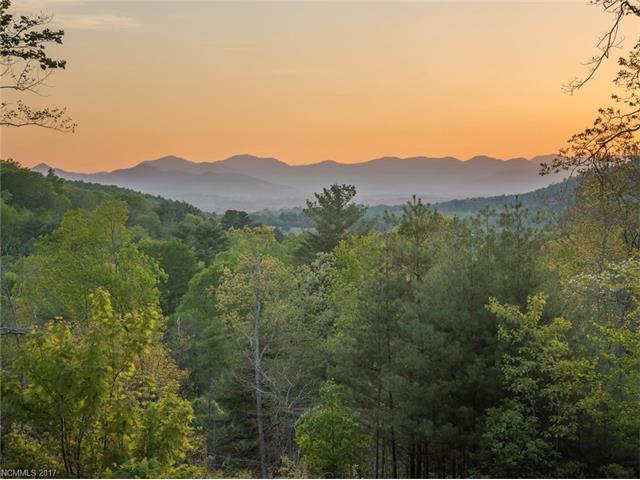 Lot 1 Beaverdam Road - Photo 1