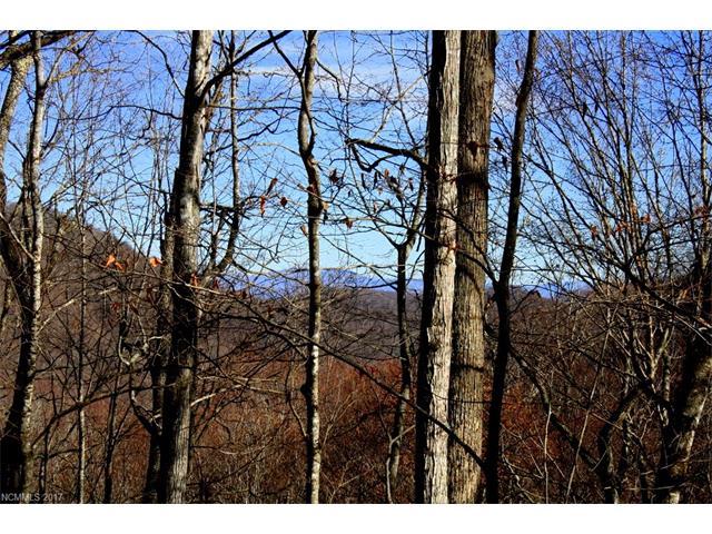 70 Bee Tree Lane - Photo 1