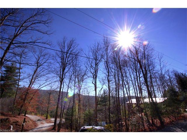 Lot 38 Franks Cove - Photo 1