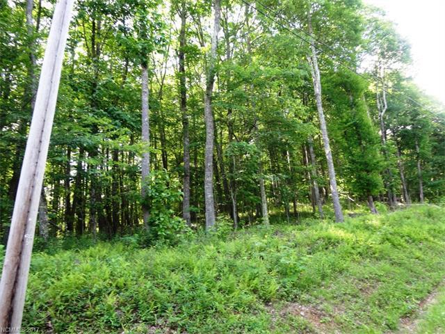 Lot 344 Tearshirt Lane - Photo 1