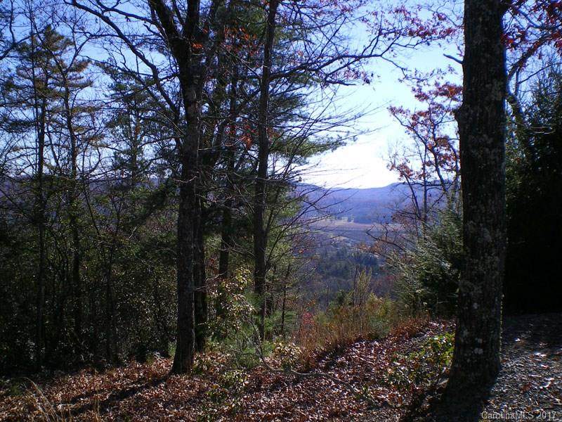M12R Pine Mountain Trail - Photo 1