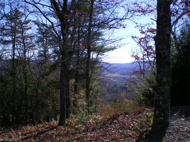 M12R Pine Mountain Trail - Photo 1