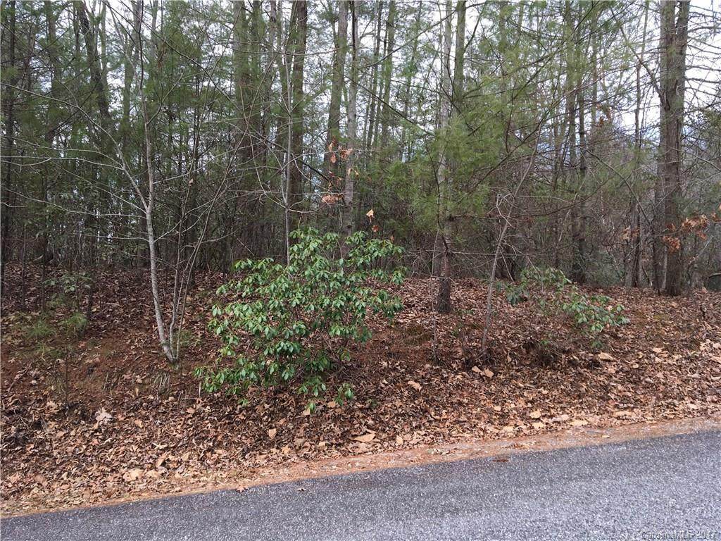 Lot 34 Deep Woods Drive - Photo 1