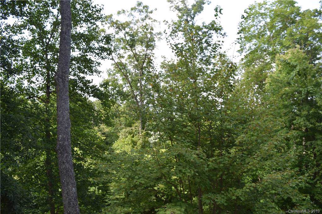 Lot 6 Pleasant View Road - Photo 1