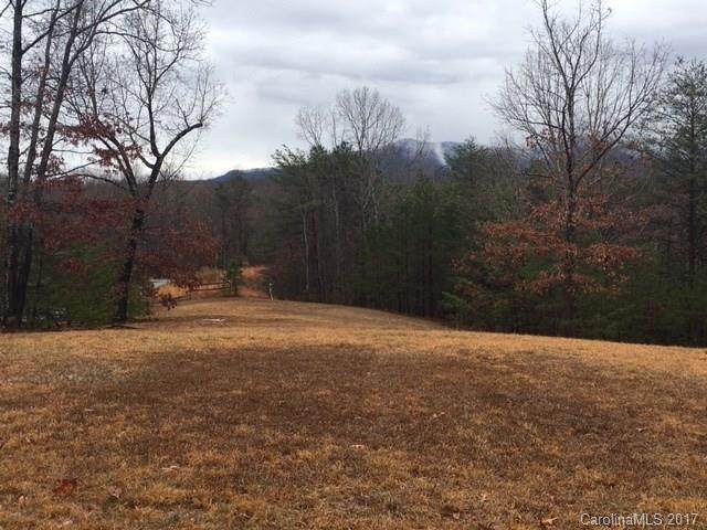lot 28 Fallen Tree Lane - Photo 1
