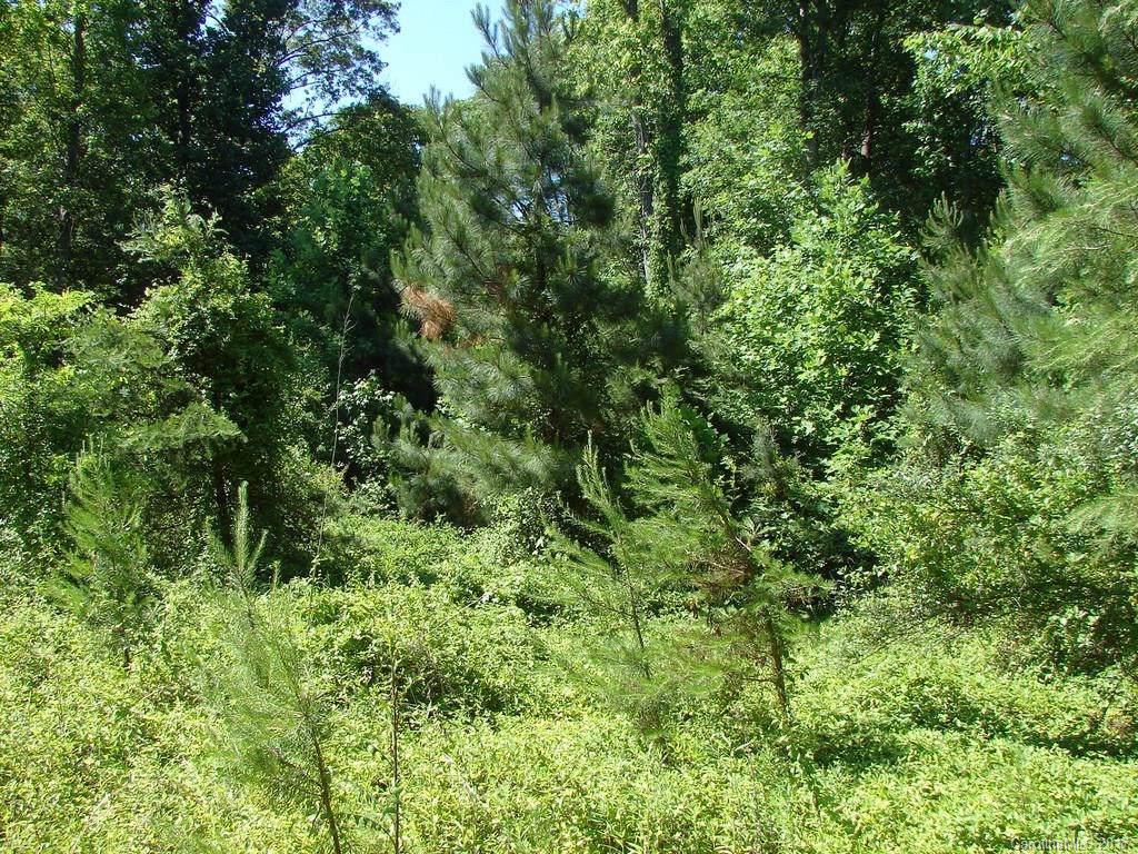 Lot 8 Primrose Drive - Photo 1