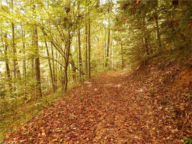 00 Jenkins Road - Photo 1