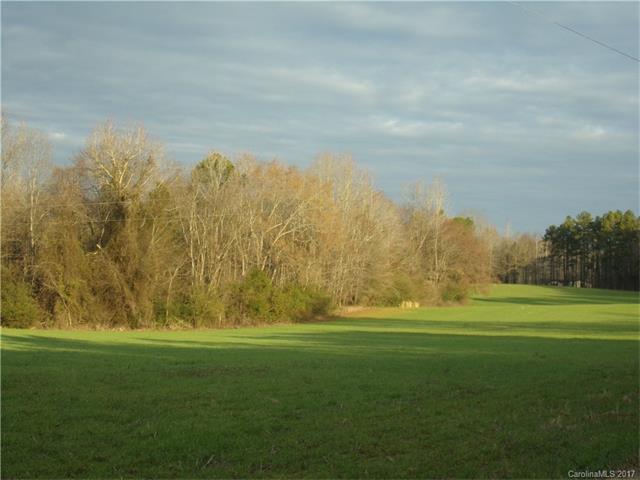 TBD Landsford Road - Photo 1