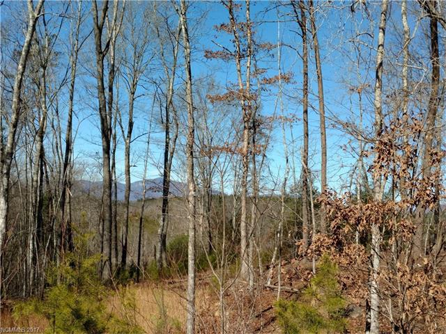 Lot 12 Cross Creek Trail - Photo 1