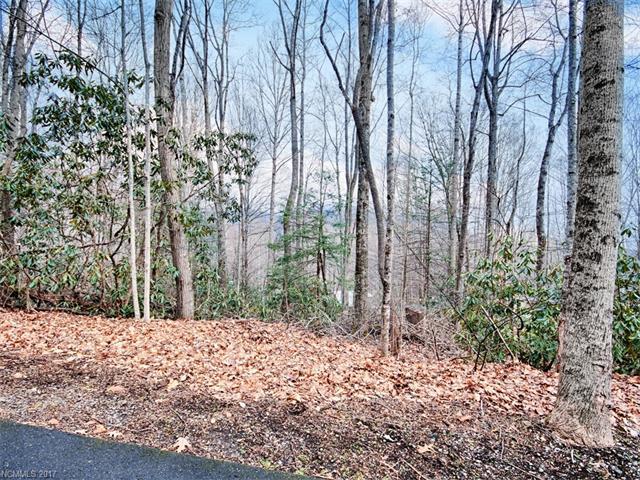 Lot C31 Birch Lane - Photo 1