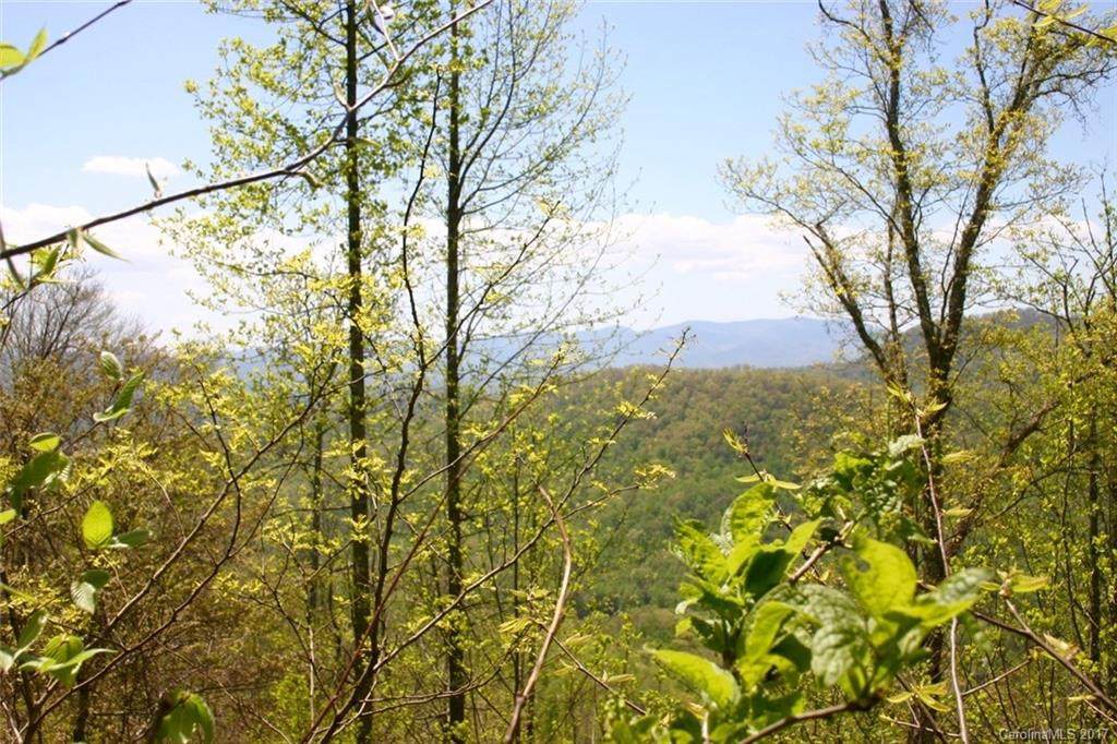999 Hyatt Creek Road - Photo 1