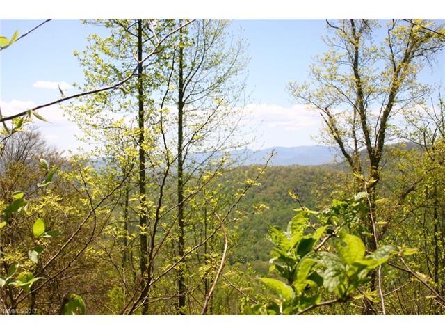 999 Hyatt Creek Road - Photo 1