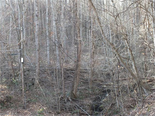 000 Friar Tuck Lane - Photo 1