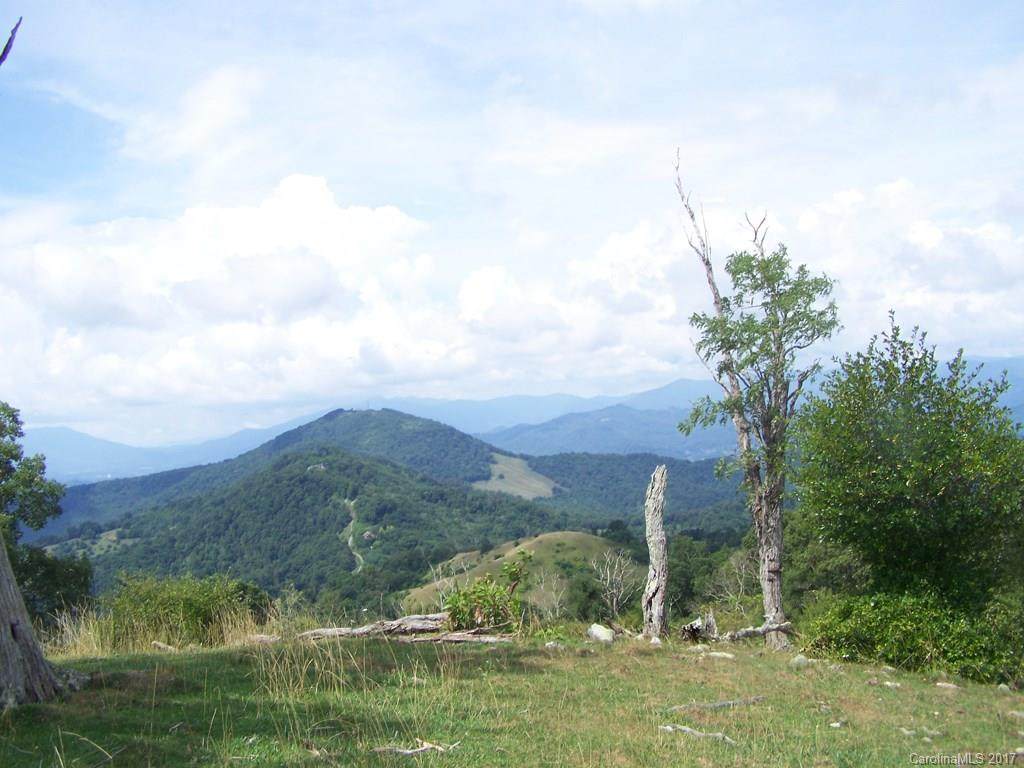 2504 Crabtree Mountain Road - Photo 1