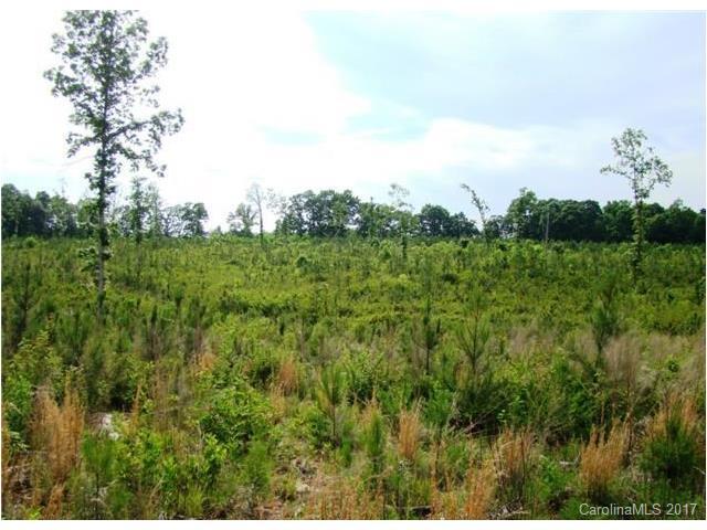 Approx 16 Keever Dairy Farm Road - Photo 1