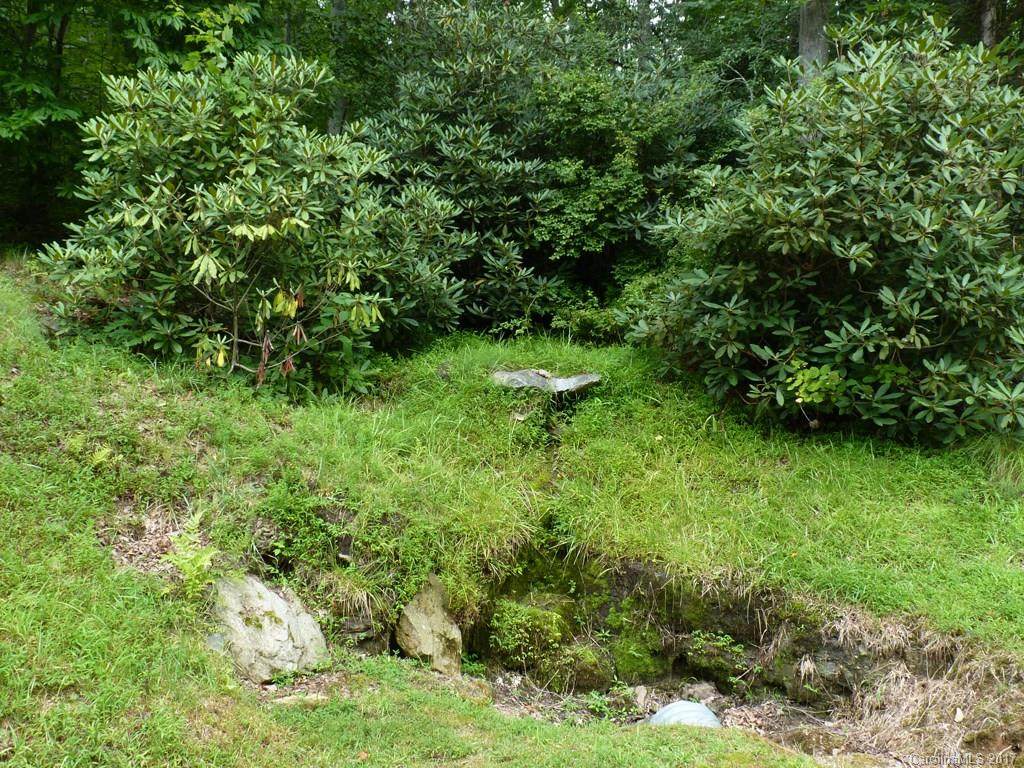 166 Chattooga Run - Photo 1