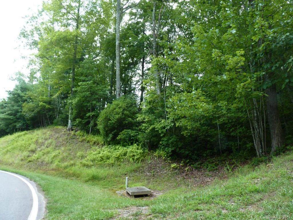 0 Chattooga Run - Photo 1