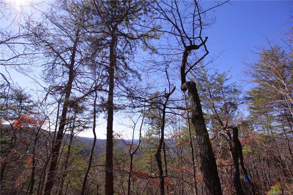 Lot 47 Round Mountain Road - Photo 1