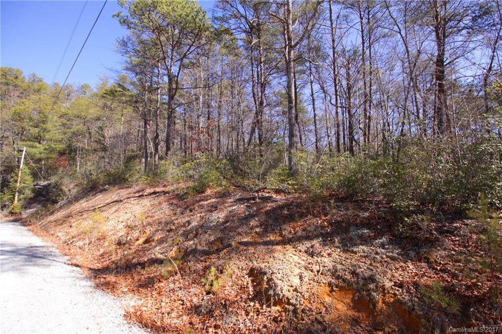 Lot 48 Round Mountain Road - Photo 1
