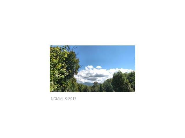 0000 Down Hemlock Lane - Photo 1