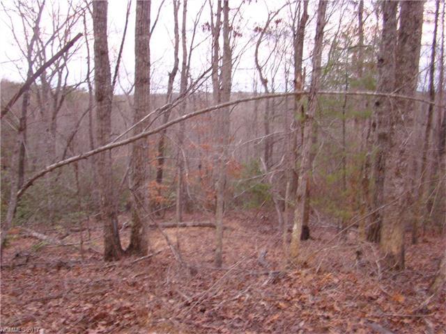 000 Old Burton Drive - Photo 1