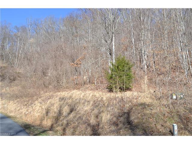 413 Chimney Rock Drive - Photo 1