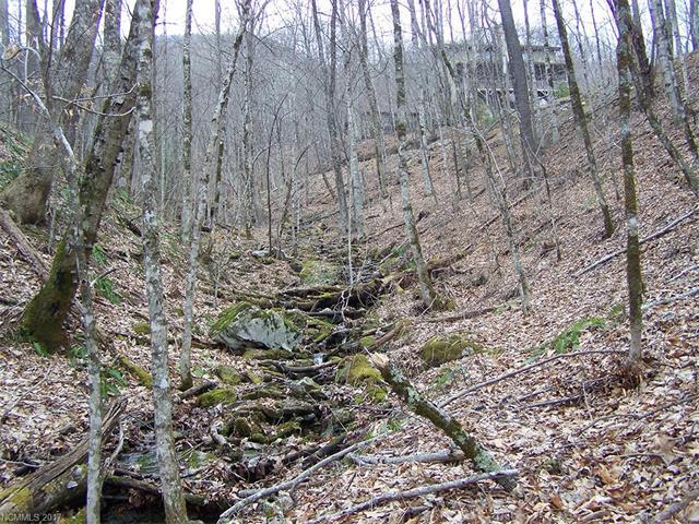 Lot 272 Fountain Springs Lane - Photo 1