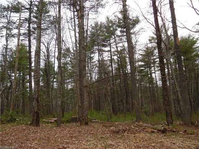 999 Cedar Creek Road - Photo 1